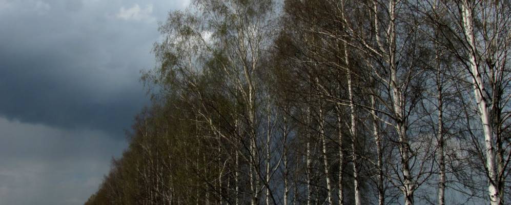 
            Фотография Некрасовки