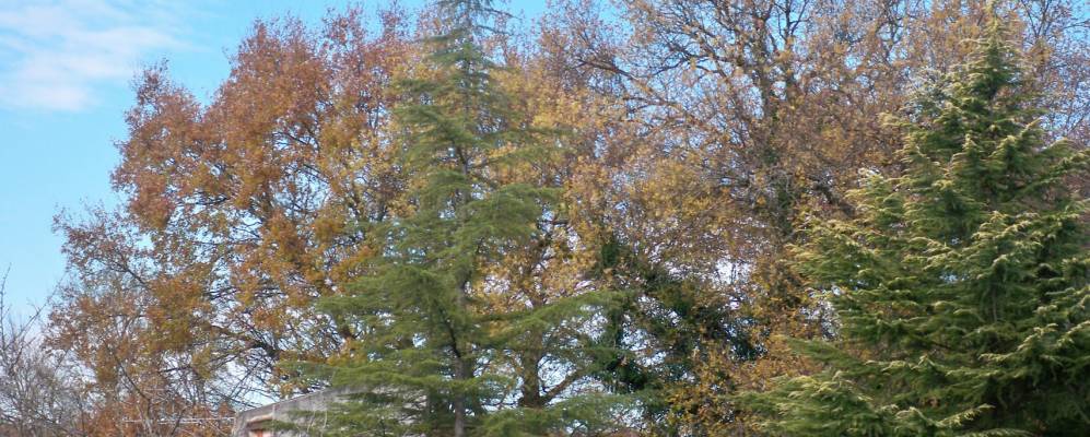 
            Фотография Ля-Сальвета-Сен-Жиля