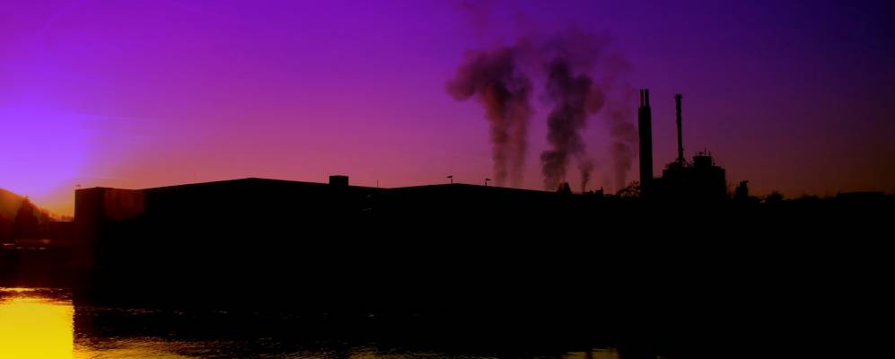 
            Фотография Альбрука