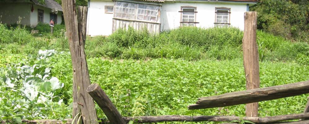 Фотография Григоровки