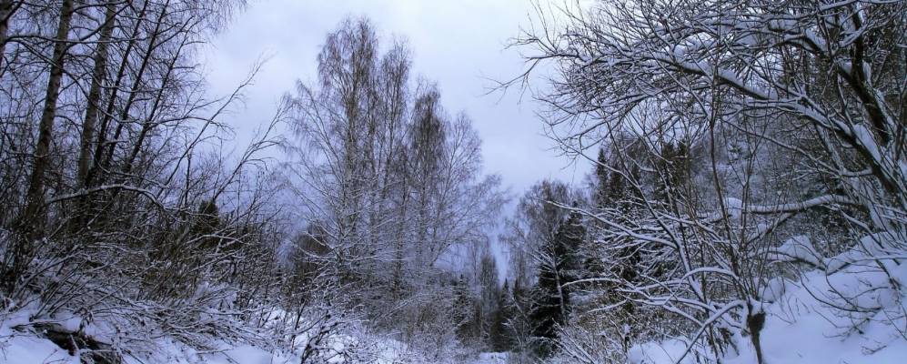 
            Фотография Ивановки