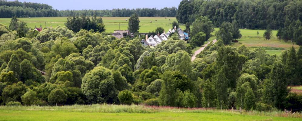 Фотография Куприны