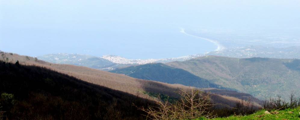 
            Фотография Стелла Чиленто