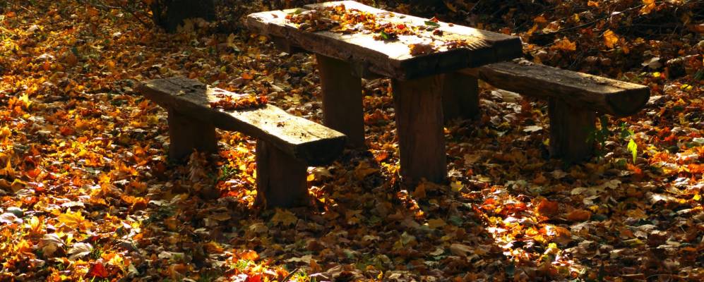 
            Фотография Вильдберга