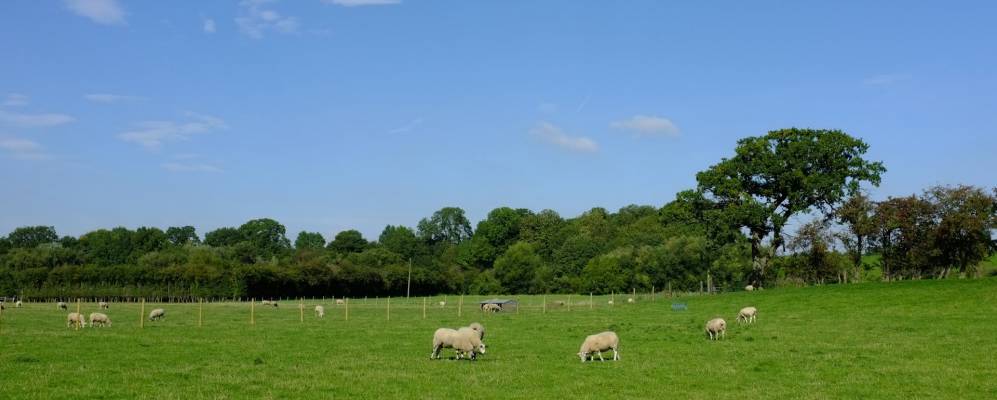 Фотография Боудона