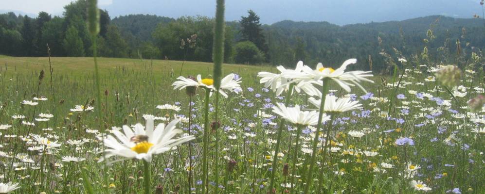 
            Фотография Риттена