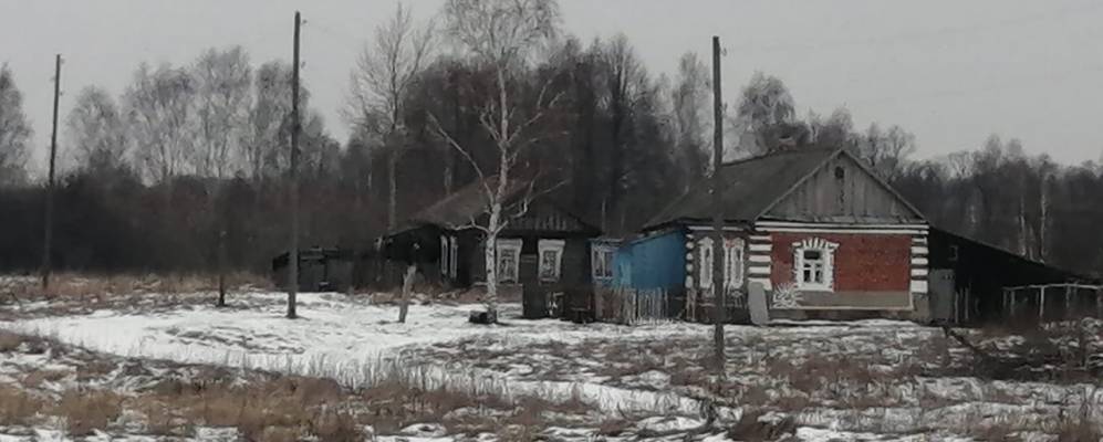 Фотография Березовки