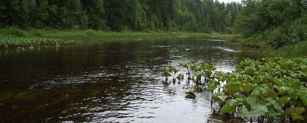 
            Фотография Паскандской