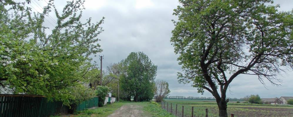 Фотография Кизимы