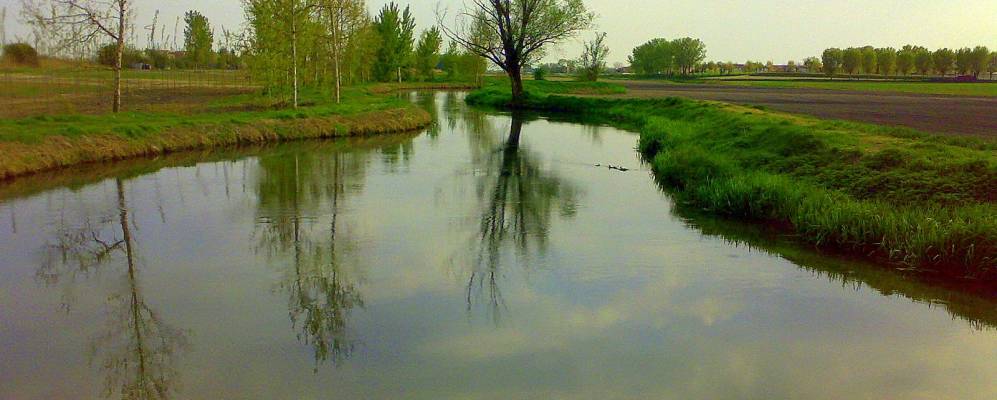 
            Фотография Ногары