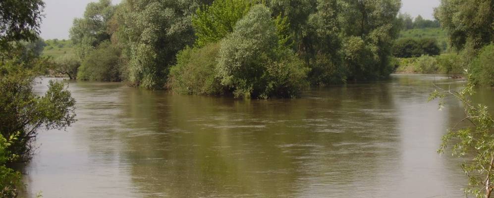 
            Фотография Киевца