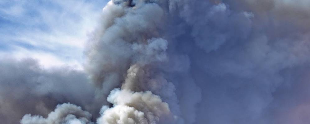 
            Фотография Анавгая