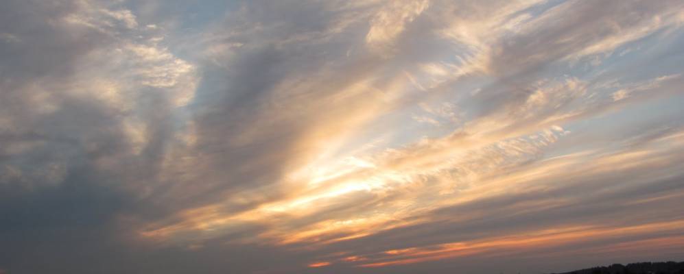 
            Фотография Быково