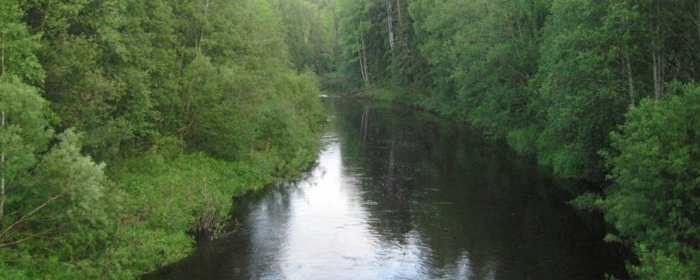 Фотография Ханюга