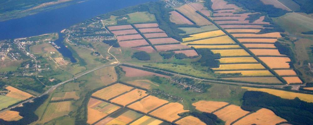 
            Фотография Первое Мая