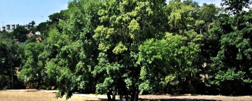 
            Фотография Прогресо Индустриаль