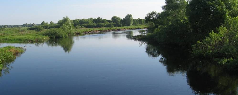 Фотография деревни Березцы