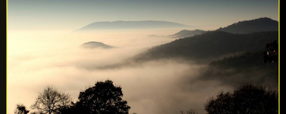 
            Фотография Казачче