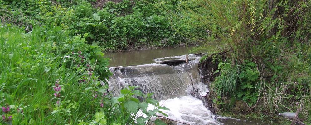 Фотография Белой