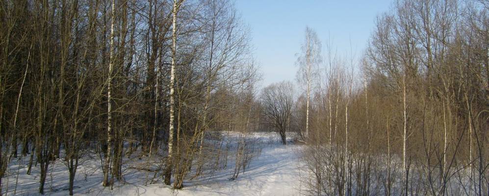 Фотография Раксажен