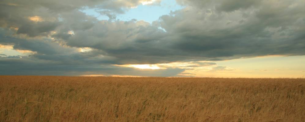 Фотография Боровки