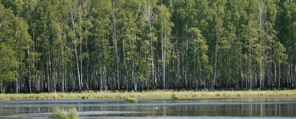 
            Фотография Новой Соболева