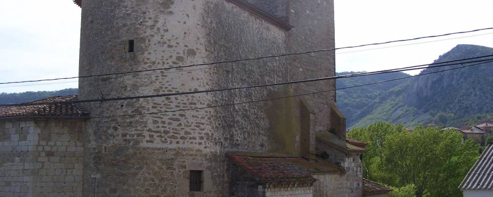 
            Фотография Ольо