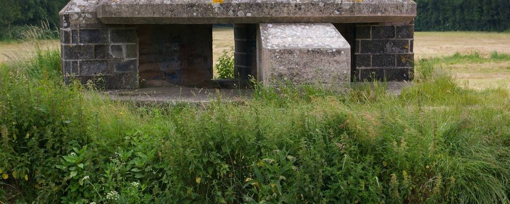 
            Фотография Аксминстера