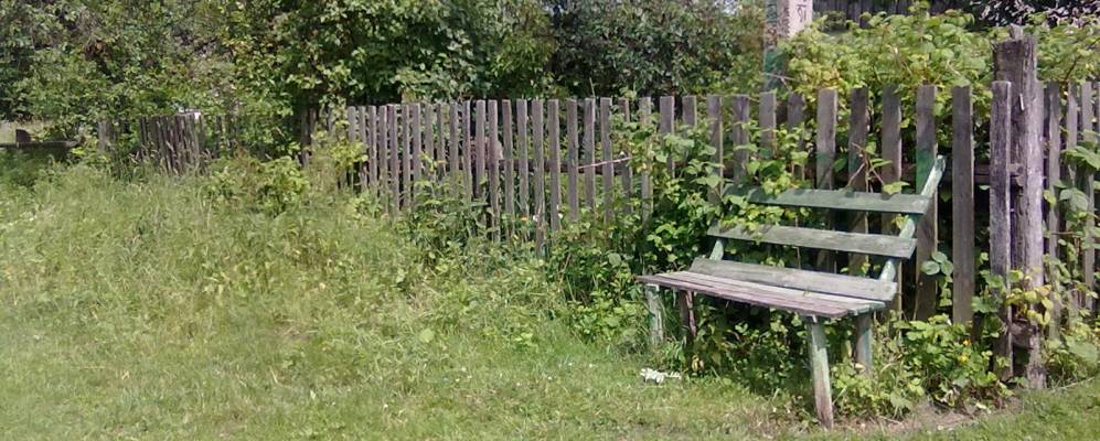 
            Фотография Будо-Литки