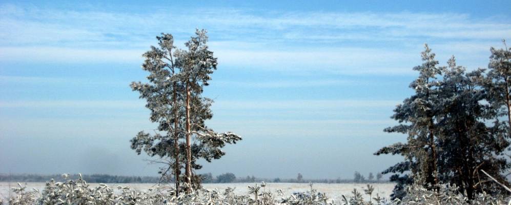 
            Фотография Вербочного