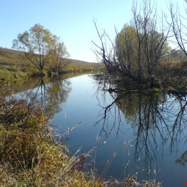 Богоявленка