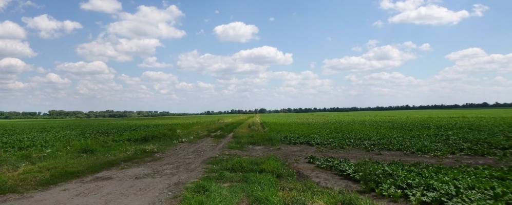 Фотография Софиевки