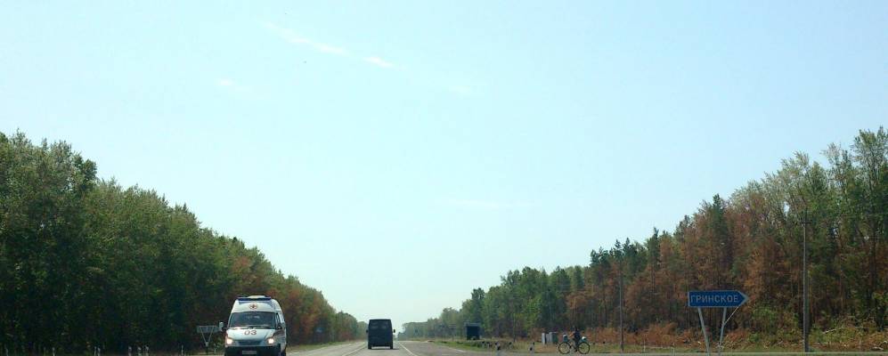 
            Фотография Гринска