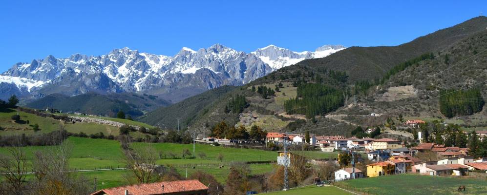 
            Фотография Потеса