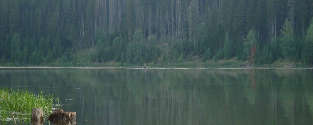 
            Фотография Верхосунья