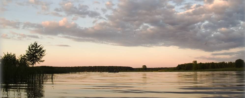 
            Фотография Доброго