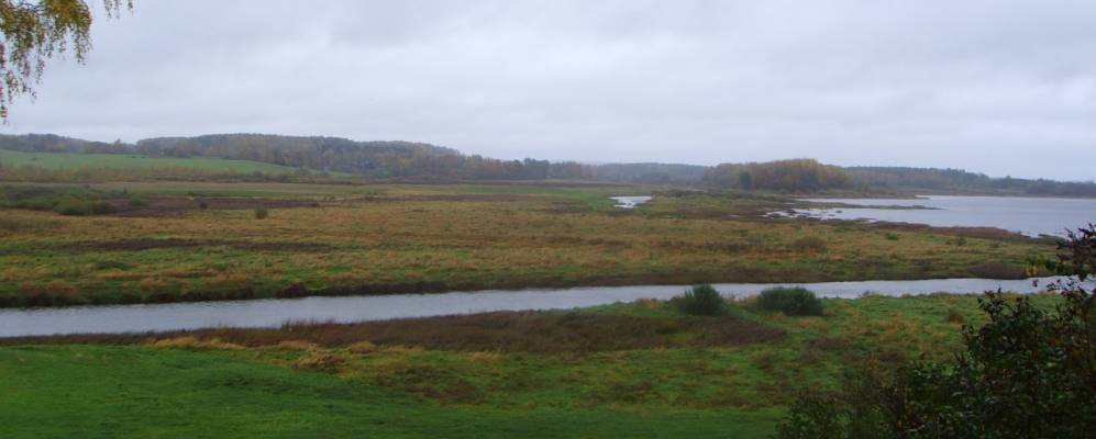 
            Фотография Нижельского