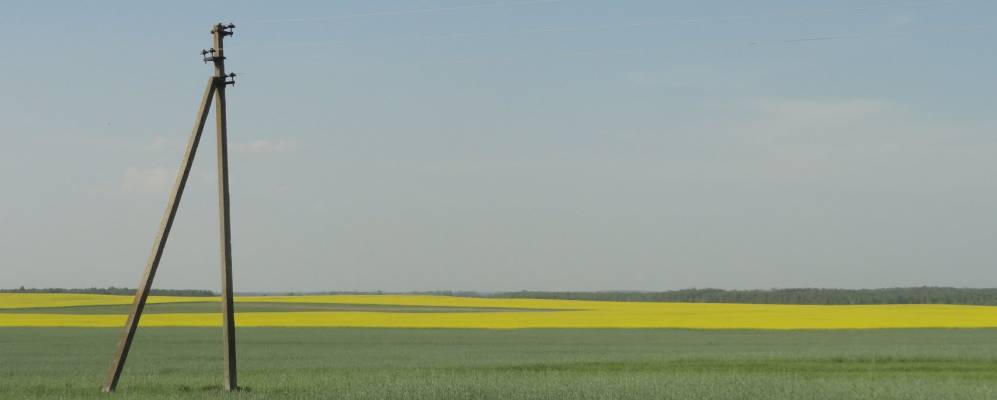 
            Фотография Синявки