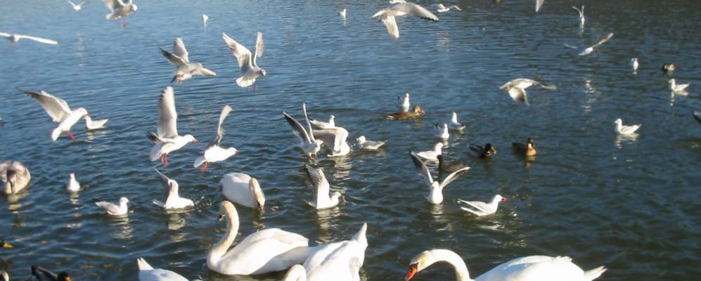 
            Фотография Грайна