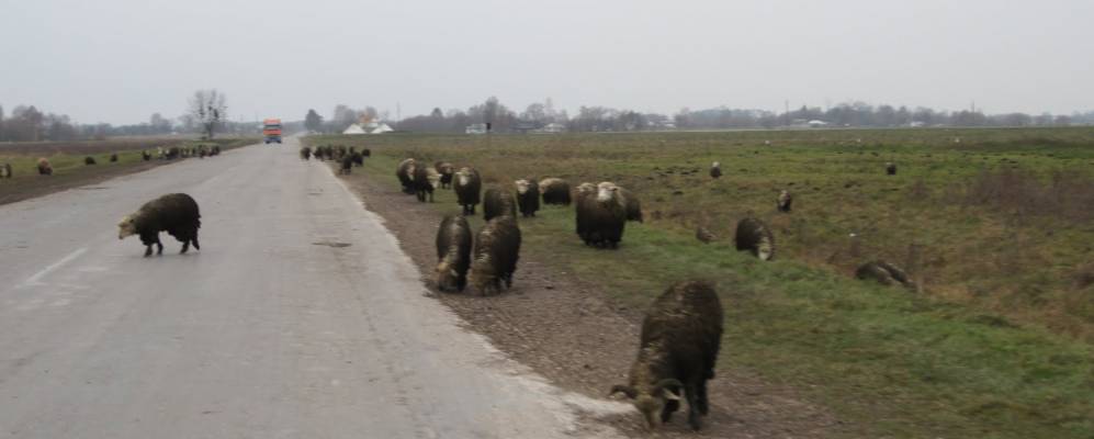 
            Фотография Узлового