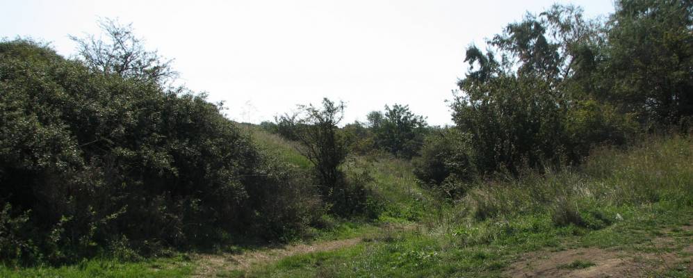 
            Фотография Августовки