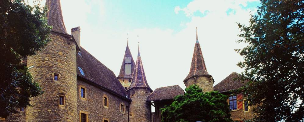 
            Фотография Будри