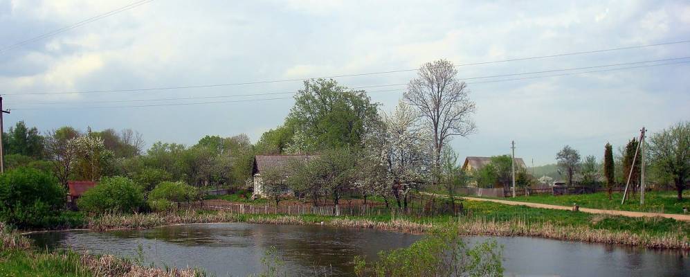 Фотография Двор-Вороновщины