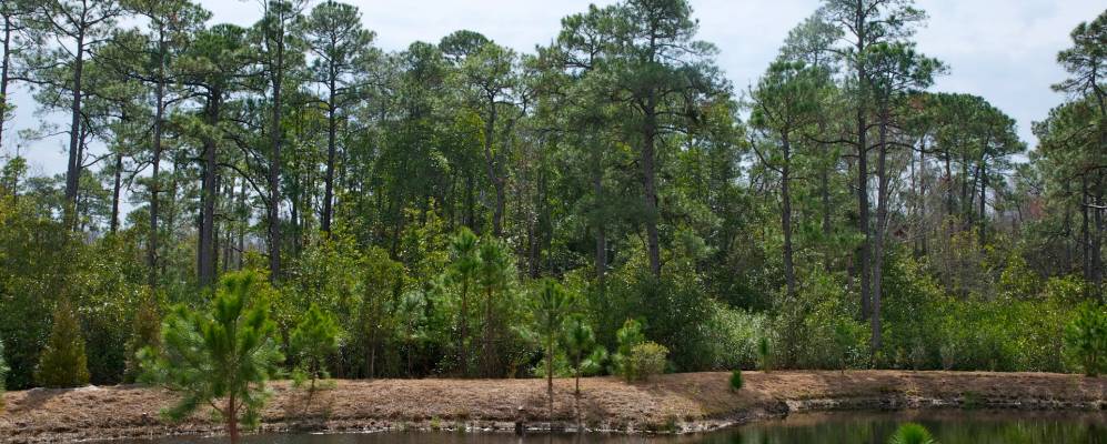 
            Фотография Midway