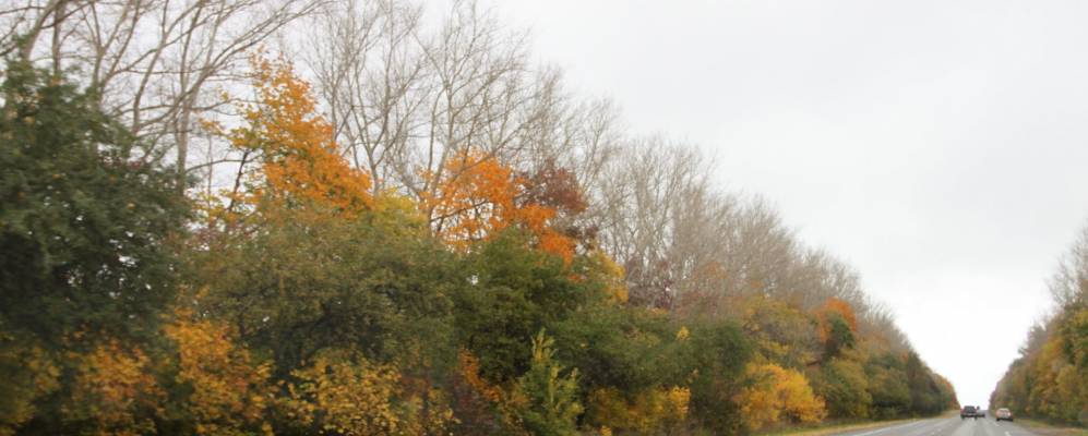 
            Фотография Михайловки