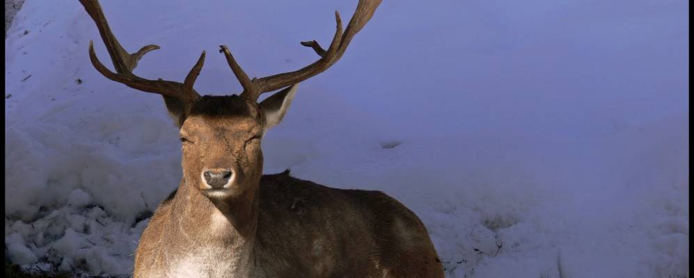 
            Фотография Валле-ди-Кадоре