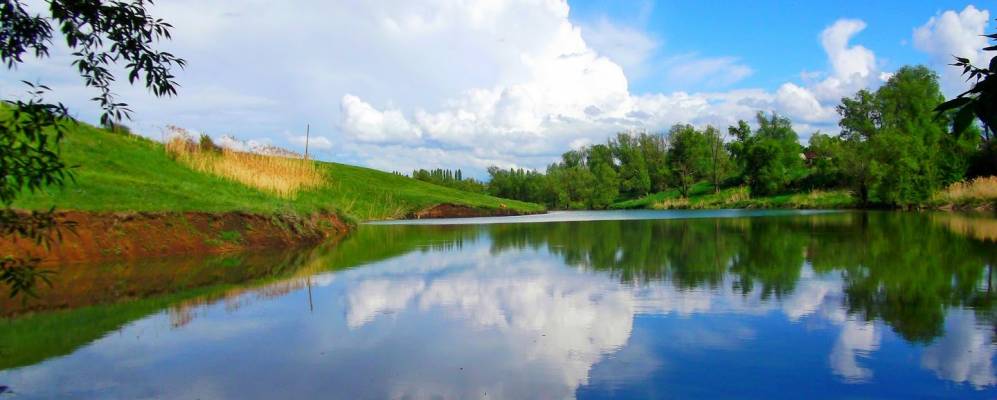 
            Фотография Криуши