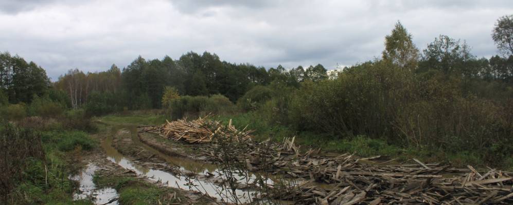 
            Фотография Нулы