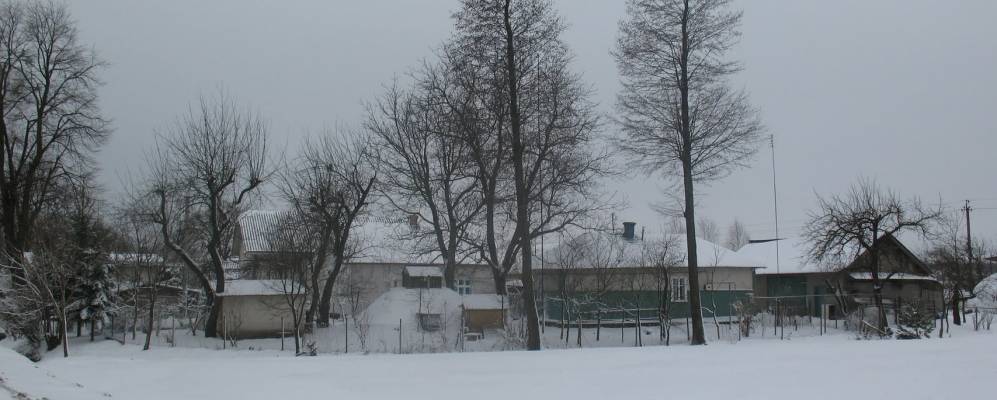 
            Фотография Дорогова