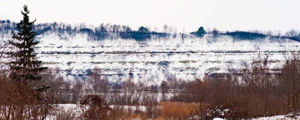 
            Фотография Пригородка